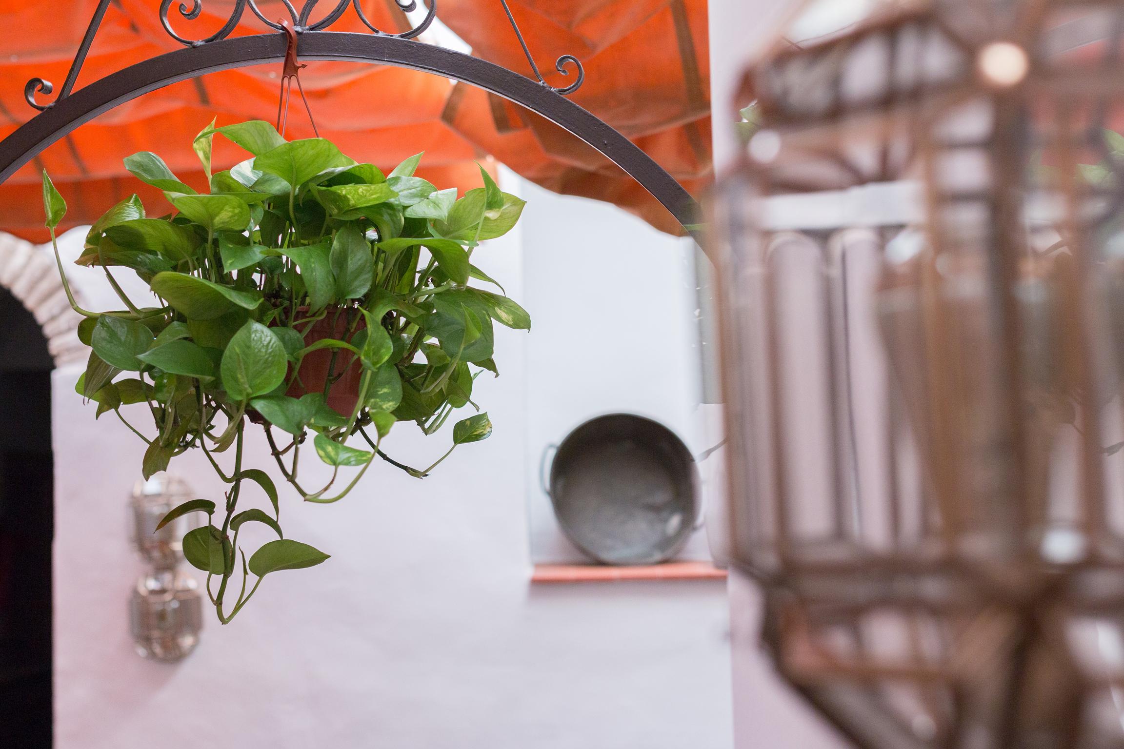 Los Patios Cordoba Ngoại thất bức ảnh