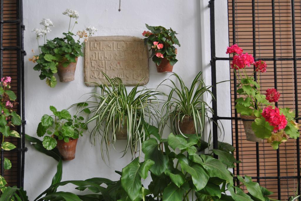 Los Patios Cordoba Ngoại thất bức ảnh
