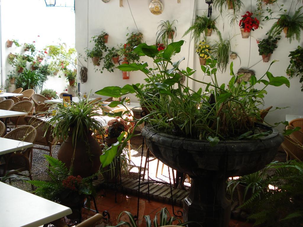Los Patios Cordoba Ngoại thất bức ảnh